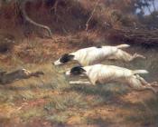 托马斯 布林克斯 : Terriers on a Hare